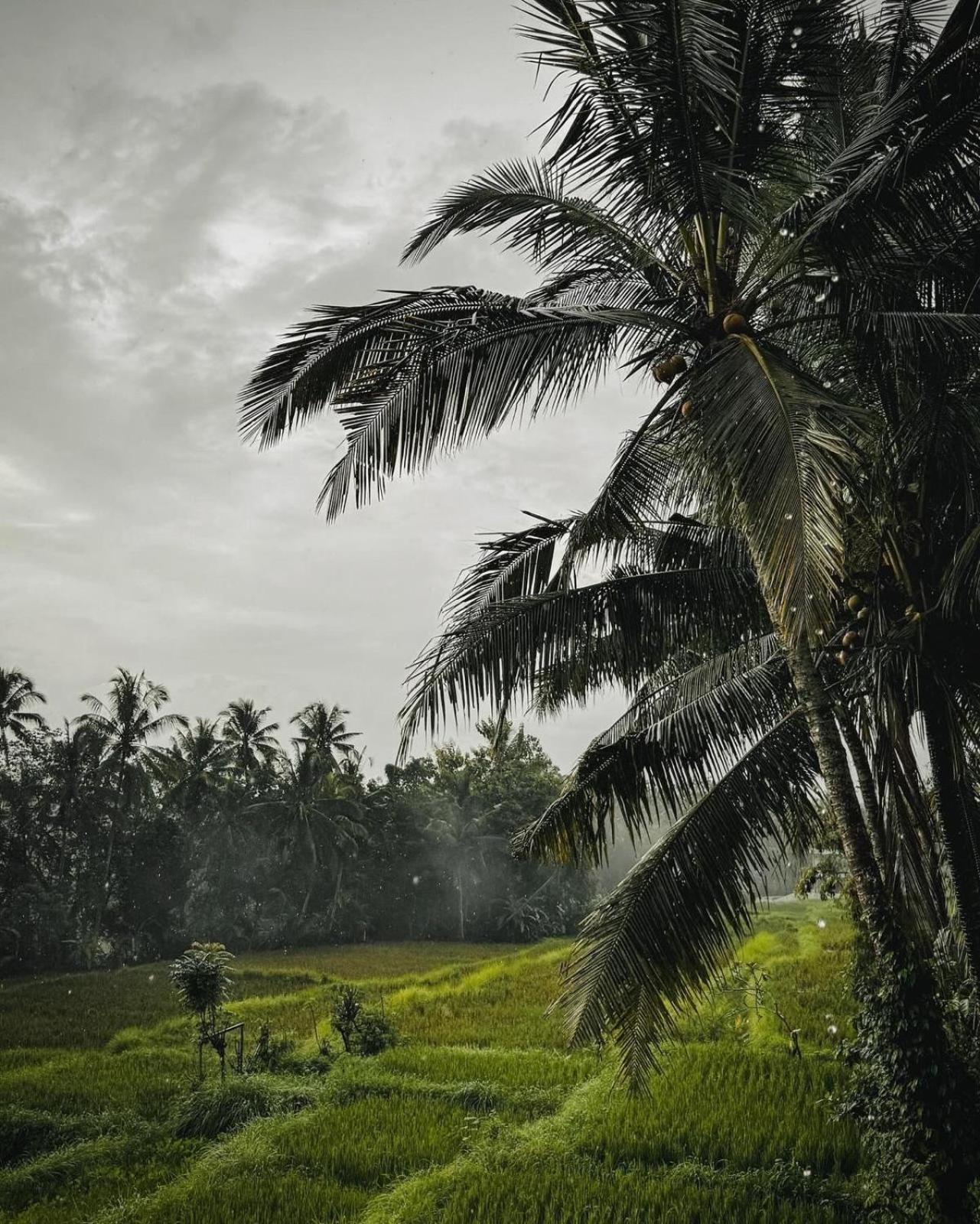 Nirwa Ubud Karma Exterior foto